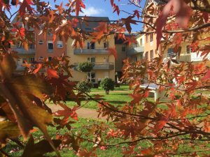 location proche plages du débarquement,appartement familial avec piscine