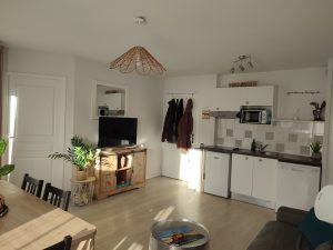 Pièce de vie et cuisine